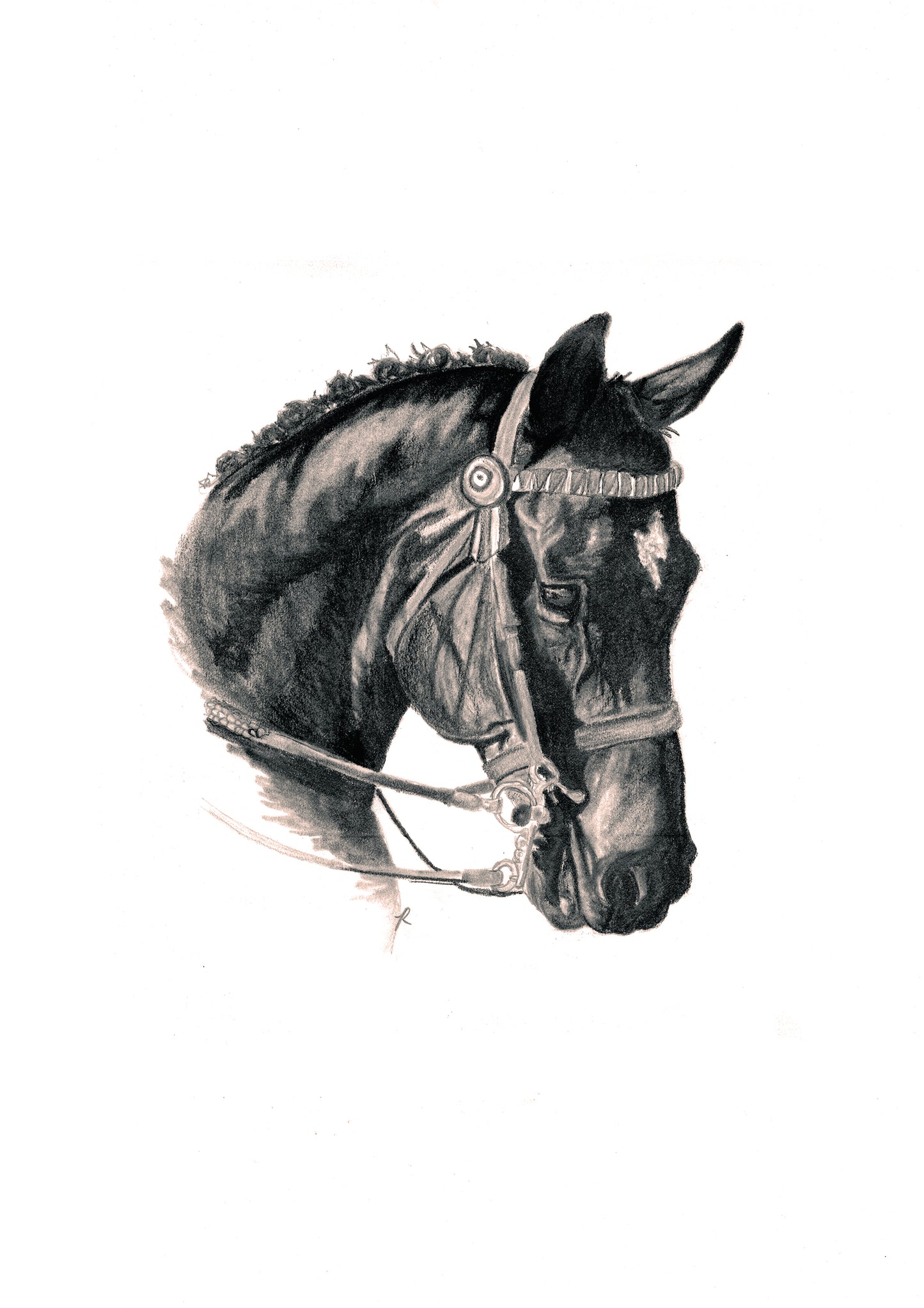 Bridled Horse Print