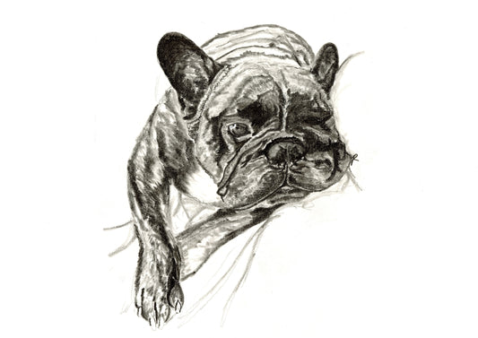 French Bulldog Print