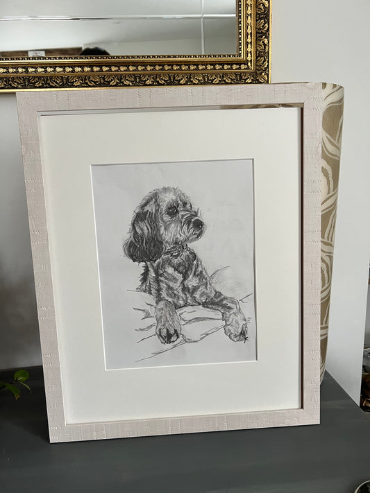Original Sketch - Cavapoo