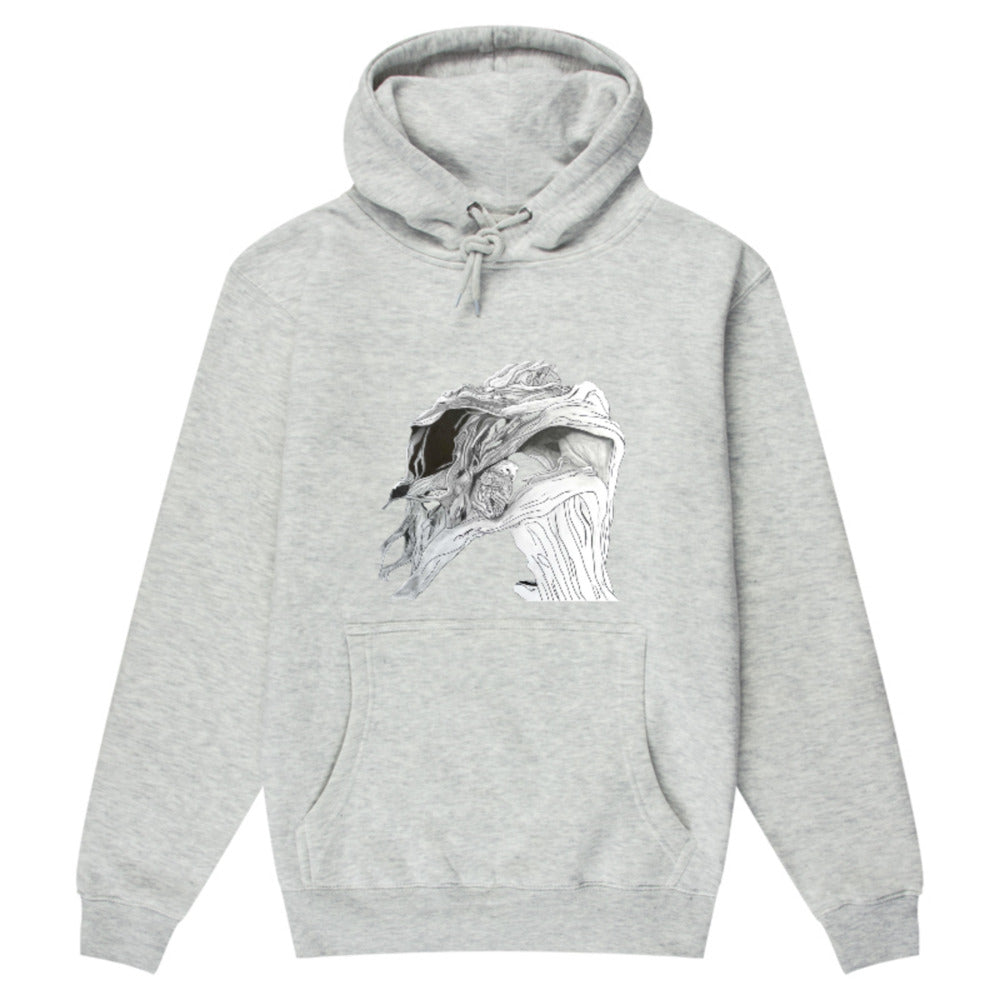 1720308-2517455
