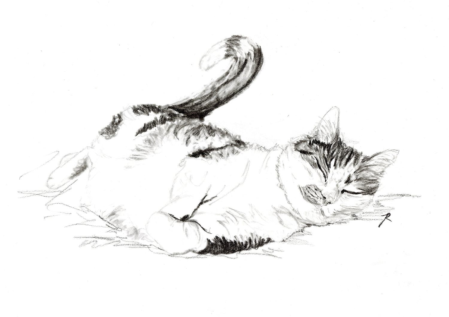 Cat drawing