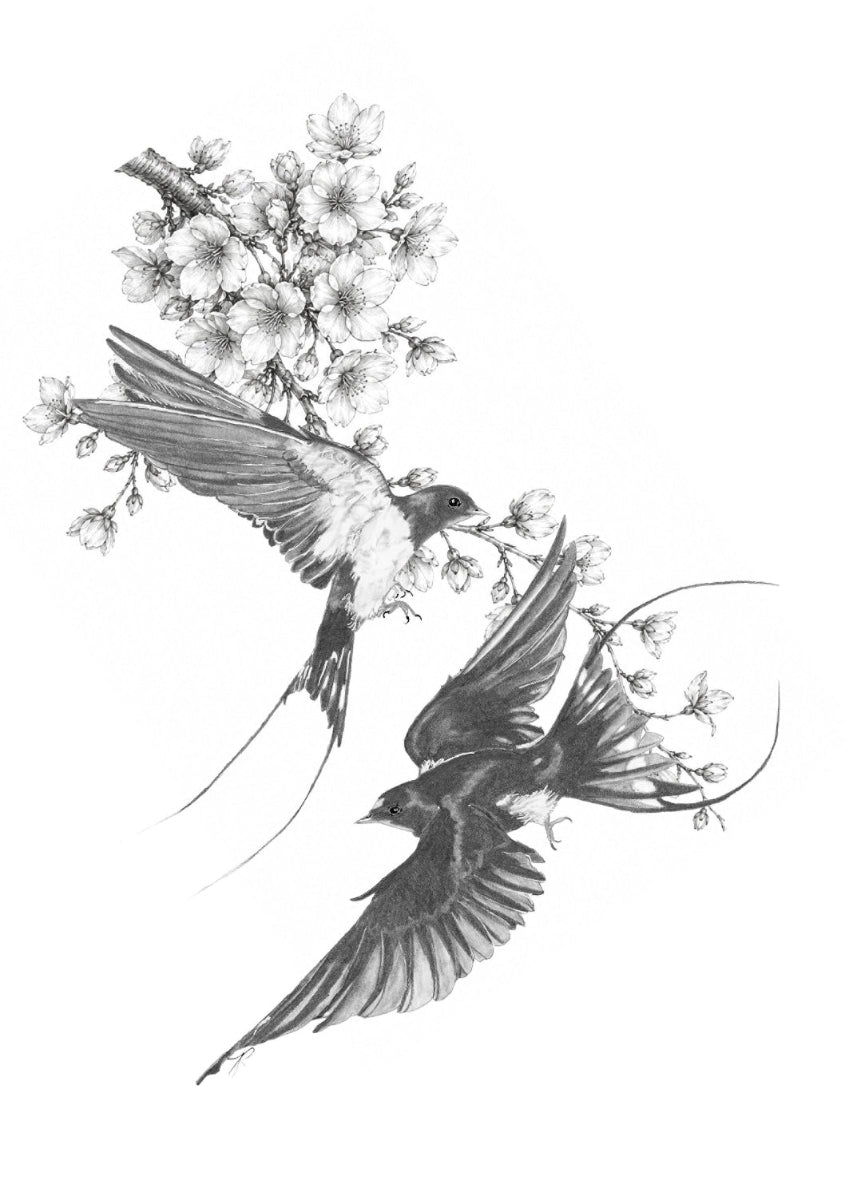 Black and white ink-style illustration of two flying swallows among flowering branches on a white background.