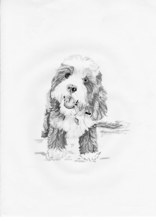 Cavapoo Print