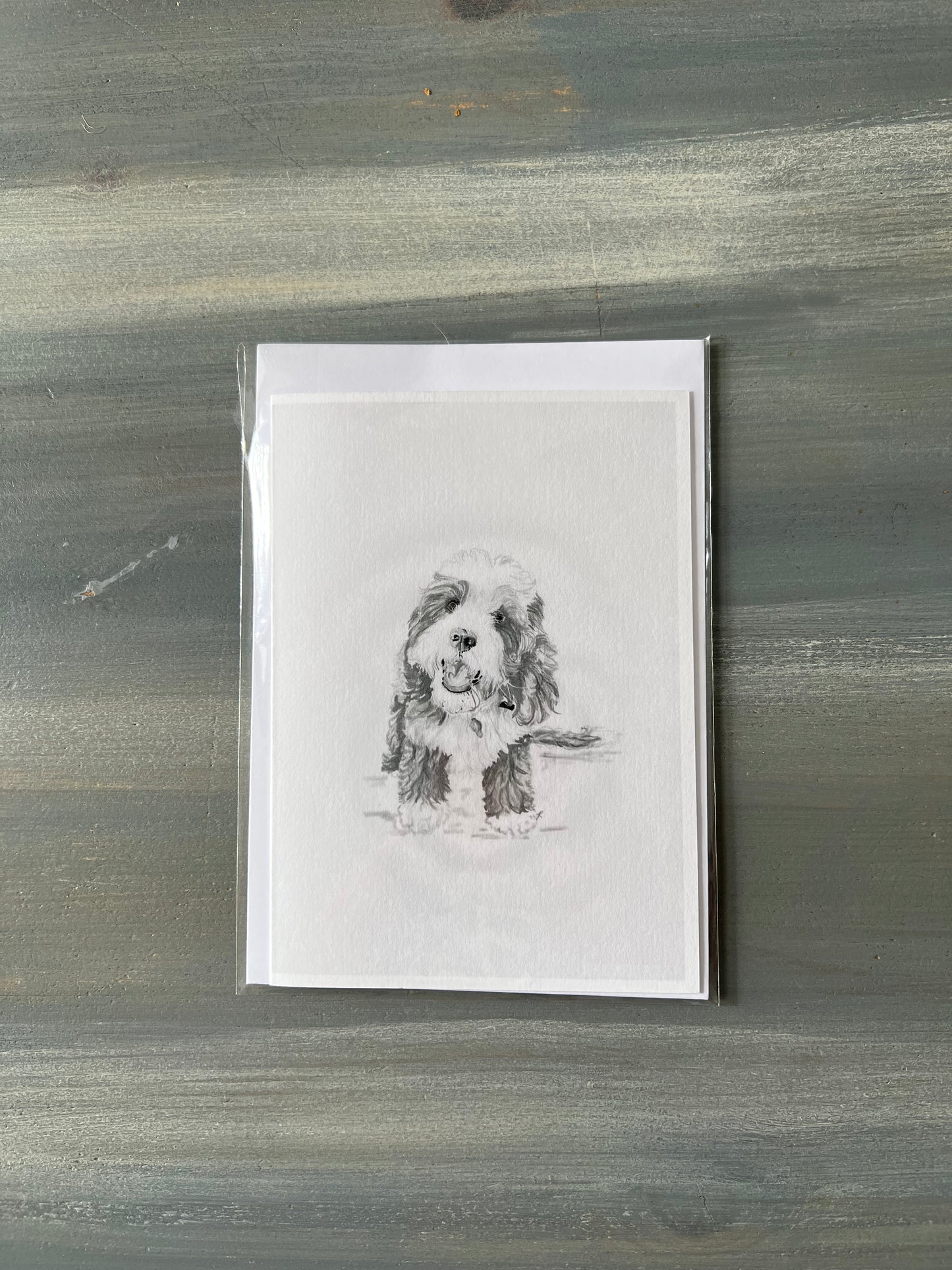 Cavapoo Card