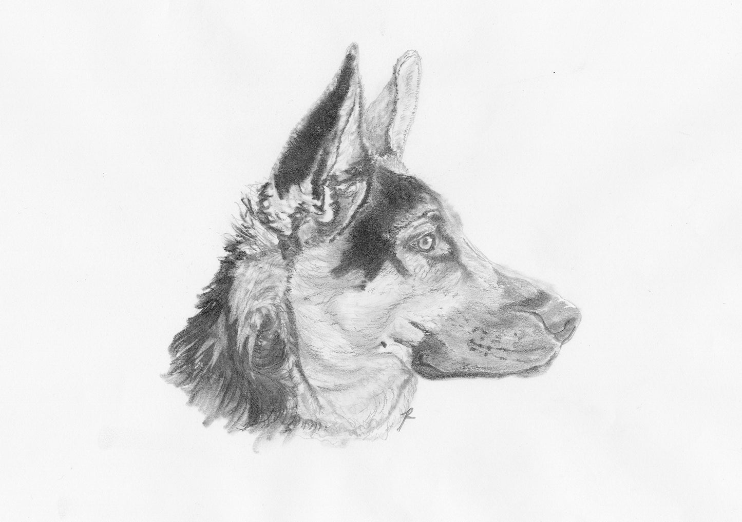 Alsatian Print