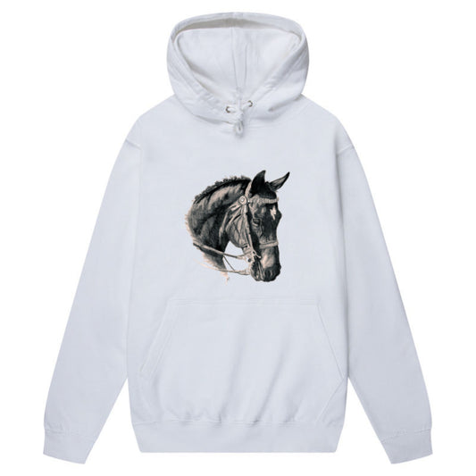 Unisex men's and women's College Hoodie - AWD JH001