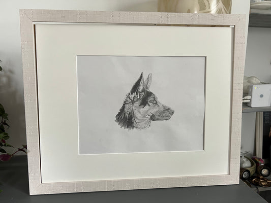 Original Sketch - German Shepard